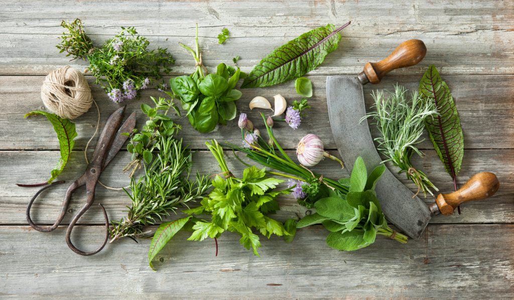 Let's Get You Started on Cooking with Herbs Let's Get You Started on Cooking with Herbs