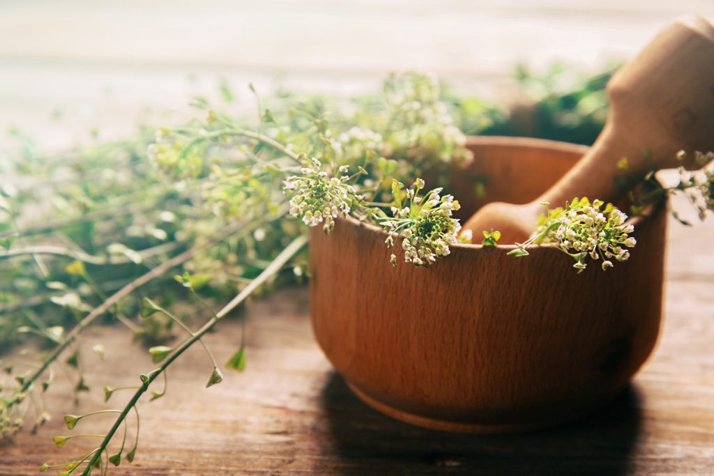 Essential Kitchen Tools You Should Have Essential Kitchen Tools Everyone Should Have