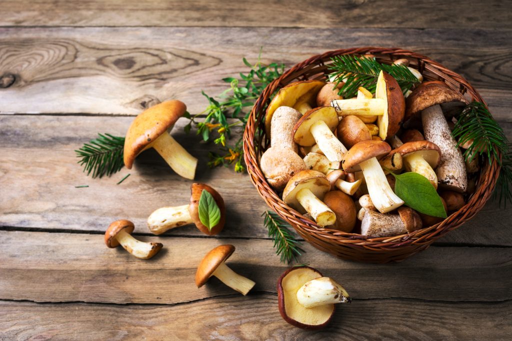 Mushroom Cooking Mistakes to Correct
