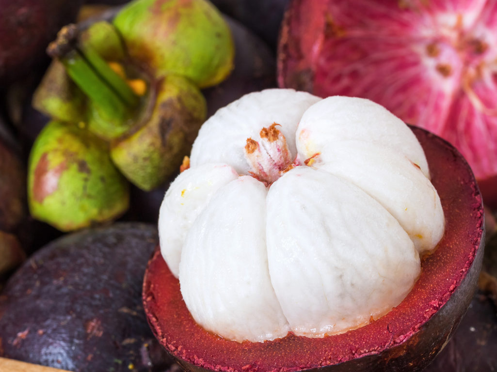 Exotic Fruits You Never Knew Existed Mangosteen