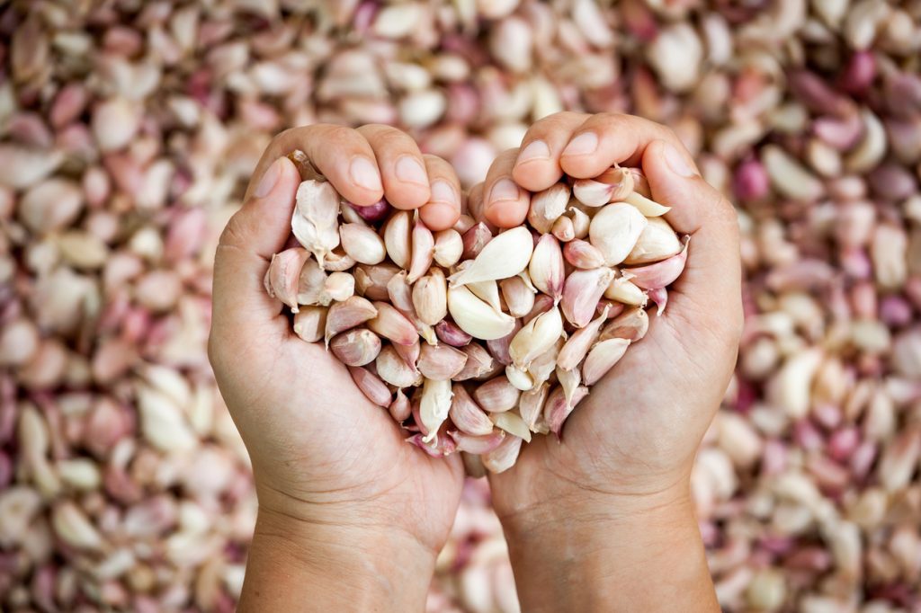Are You Making These Garlic Common Mistakes?