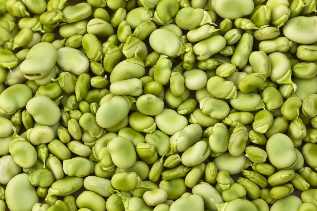 The Beaning of Life: 10 Common Types of Beans to Cook With