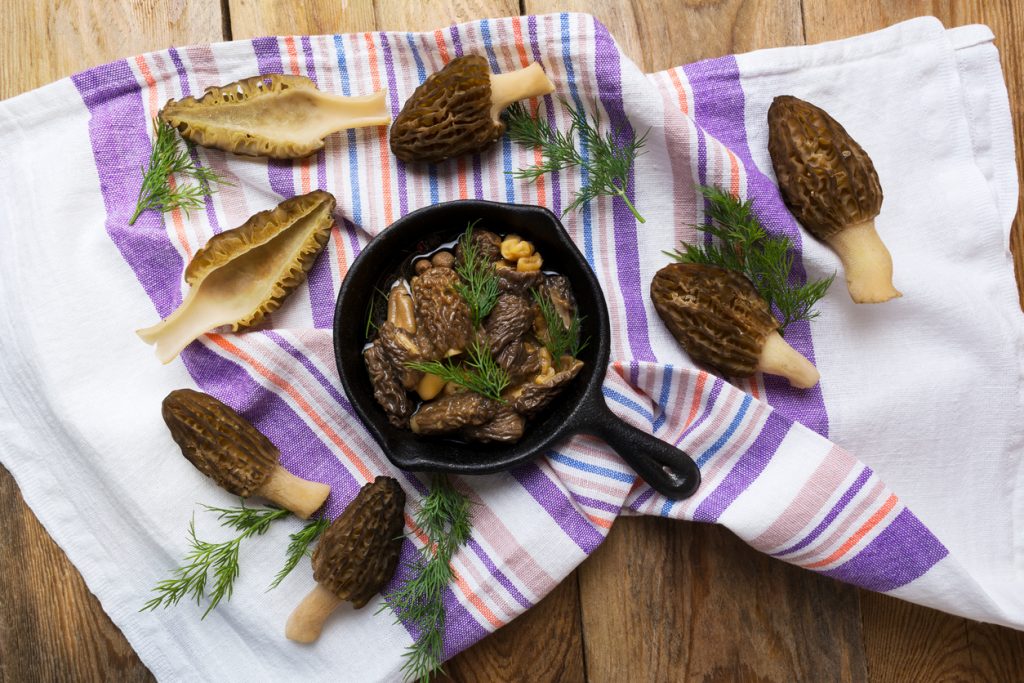 Mushroom Types and Their Best Uses