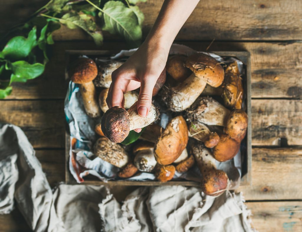 Mushroom Types and Their Best Uses