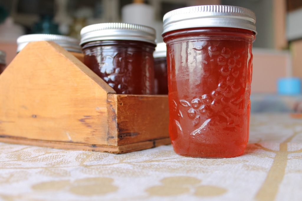 Back to Fall: A Simple Guide to Canning Back to Fall: A Simple Guide to Canning -