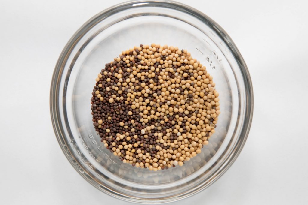 mustard varieties